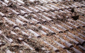 Godleybrook roof cleaning companies